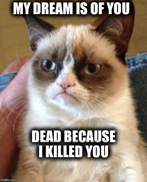 Grumpy Cat Meme | MY DREAM IS OF YOU; DEAD BECAUSE I KILLED YOU | image tagged in memes,grumpy cat | made w/ Imgflip meme maker