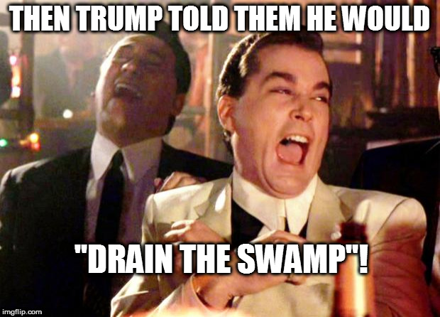 Drain This! | THEN TRUMP TOLD THEM HE WOULD; "DRAIN THE SWAMP"! | image tagged in goodfellas laugh | made w/ Imgflip meme maker