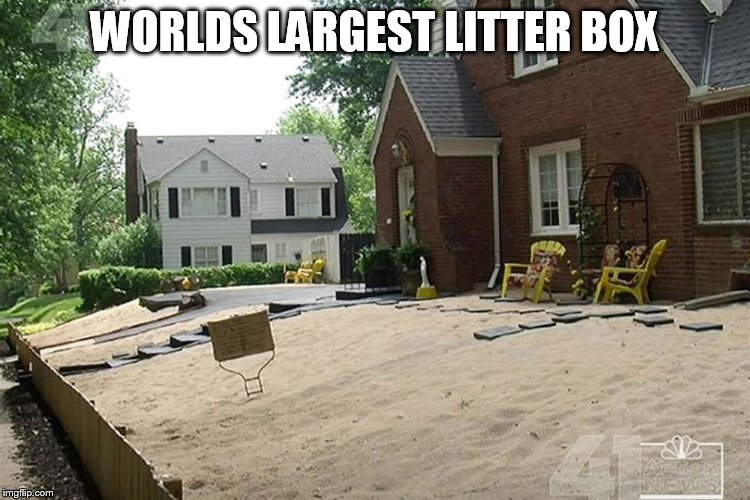 WORLDS LARGEST LITTER BOX | made w/ Imgflip meme maker