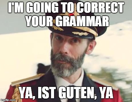 I'M GOING TO CORRECT YOUR GRAMMAR; YA, IST GUTEN, YA | image tagged in obvious | made w/ Imgflip meme maker