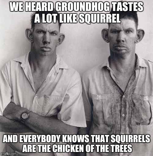 Hillbilly Cuisine | WE HEARD GROUNDHOG TASTES A LOT LIKE SQUIRREL; AND EVERYBODY KNOWS THAT SQUIRRELS ARE THE CHICKEN OF THE TREES | image tagged in memes | made w/ Imgflip meme maker