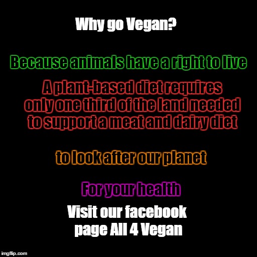 Blank Page | Why go Vegan? Because animals have a right to live; A plant-based diet requires only one third of the land needed to support a meat and dairy diet; to look after our planet; For your health; Visit our facebook page All 4 Vegan | image tagged in blank page | made w/ Imgflip meme maker