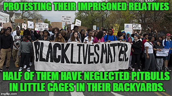 People that can do this to animals do not have humanity. | PROTESTING THEIR IMPRISONED RELATIVES; HALF OF THEM HAVE NEGLECTED PITBULLS IN LITTLE CAGES IN THEIR BACKYARDS. | image tagged in black lives matter | made w/ Imgflip meme maker