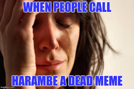 First World Problems Meme | WHEN PEOPLE CALL; HARAMBE A DEAD MEME | image tagged in memes,first world problems | made w/ Imgflip meme maker