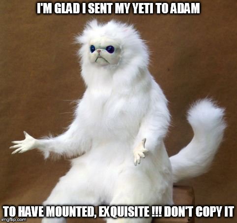 Y tho Persian cat room statue yeti thing | I'M GLAD I SENT MY YETI TO ADAM; TO HAVE MOUNTED, EXQUISITE !!! DON'T COPY IT | image tagged in y tho persian cat room statue yeti thing | made w/ Imgflip meme maker