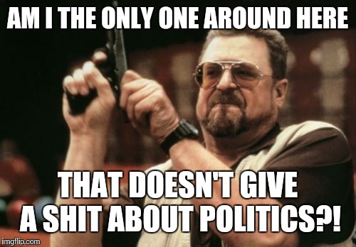 Applies for me most of the time | AM I THE ONLY ONE AROUND HERE; THAT DOESN'T GIVE A SHIT ABOUT POLITICS?! | image tagged in memes,am i the only one around here,politics | made w/ Imgflip meme maker