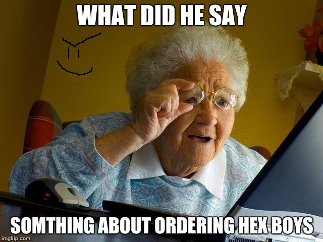 Grandma Finds The Internet | WHAT DID HE SAY; SOMTHING ABOUT ORDERING HEX BOYS | image tagged in memes,grandma finds the internet | made w/ Imgflip meme maker