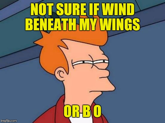 Not sure if I should use Sure | NOT SURE IF WIND BENEATH MY WINGS; OR B O | image tagged in memes,futurama fry,body odor,wind beneath my wings | made w/ Imgflip meme maker