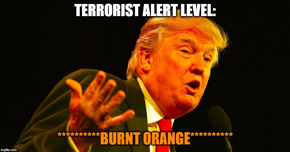The real terror | TERRORIST ALERT LEVEL:; **********BURNT ORANGE********** | image tagged in donald trump,terrorist,not my president | made w/ Imgflip meme maker