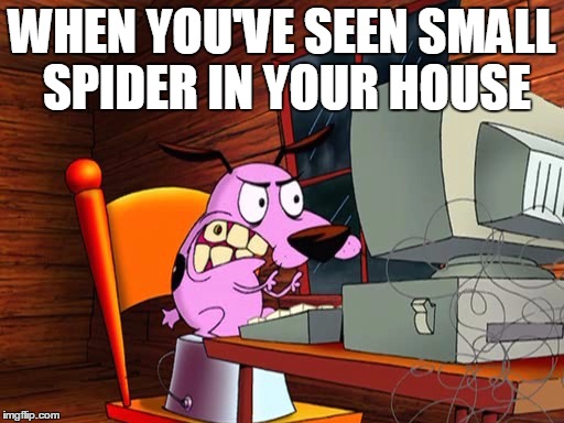 COURAGE DA TIDDY | WHEN YOU'VE SEEN SMALL SPIDER IN YOUR HOUSE | image tagged in courage da tiddy | made w/ Imgflip meme maker