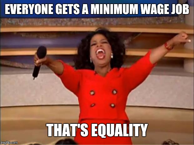 Oprah You Get A Meme | EVERYONE GETS A MINIMUM WAGE JOB THAT'S EQUALITY | image tagged in memes,oprah you get a | made w/ Imgflip meme maker