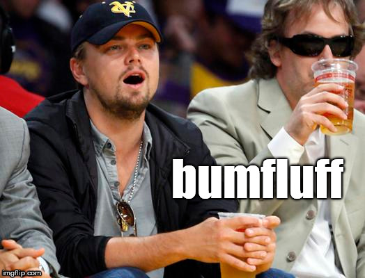 Leo bum | bumfluff | image tagged in leonardo dicaprio,funny,memes,bum,basketball | made w/ Imgflip meme maker
