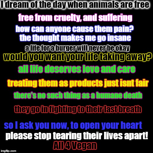 Blank Page | I dream of the day when animals are free; free from cruelty, and suffering; how can anyone cause them pain?
 the thought makes me go insane; a life for a burger will never be okay; would you want your life taking away? all life deserves love and care; treating them as products just isnt fair; there's no such thing as a humane death; they go in fighting to their last breath; so I ask you now, to open your heart; please stop tearing their lives apart! All 4 Vegan | image tagged in blank page | made w/ Imgflip meme maker