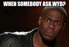 Kevin Hart Meme | WHEN SOMEBODY ASK WYD? | image tagged in memes,kevin hart the hell | made w/ Imgflip meme maker