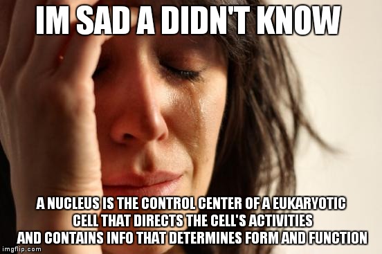 First World Problems | IM SAD A DIDN'T KNOW; A NUCLEUS IS THE CONTROL CENTER OF A EUKARYOTIC CELL THAT DIRECTS THE CELL'S ACTIVITIES AND CONTAINS INFO THAT DETERMINES FORM AND FUNCTION | image tagged in memes,first world problems | made w/ Imgflip meme maker