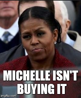 MICHELLE ISN'T BUYING IT | image tagged in michelle | made w/ Imgflip meme maker