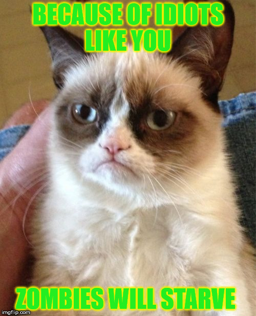 Grumpy Cat | BECAUSE OF IDIOTS LIKE YOU; ZOMBIES WILL STARVE | image tagged in memes,grumpy cat,idiots,zombies,faith in humanity | made w/ Imgflip meme maker