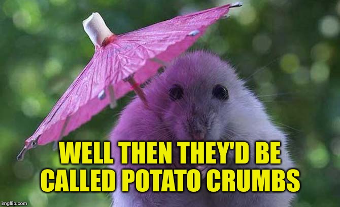 WELL THEN THEY'D BE CALLED POTATO CRUMBS | made w/ Imgflip meme maker