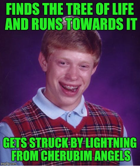 Bad Luck Brian Meme | FINDS THE TREE OF LIFE AND RUNS TOWARDS IT GETS STRUCK BY LIGHTNING FROM CHERUBIM ANGELS | image tagged in memes,bad luck brian | made w/ Imgflip meme maker