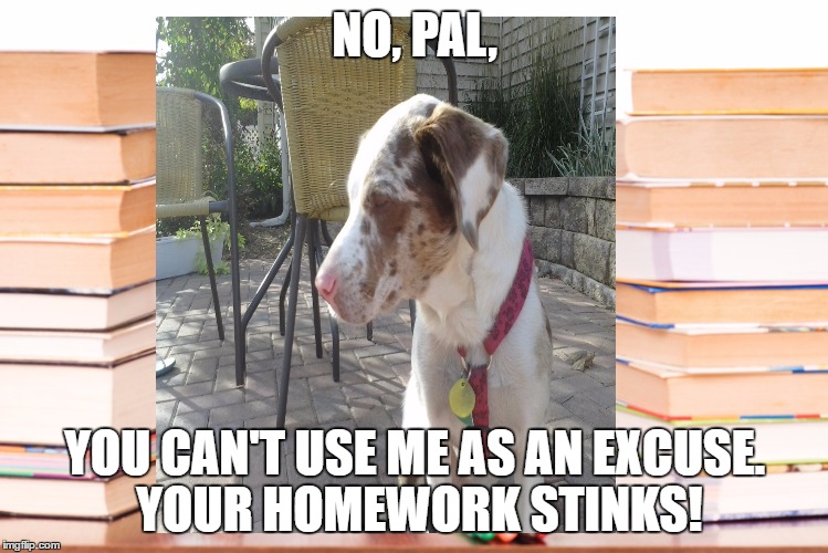 Eat it all! | NO, PAL, YOU CAN'T USE ME AS AN EXCUSE. YOUR HOMEWORK STINKS! | image tagged in homework,dogs | made w/ Imgflip meme maker