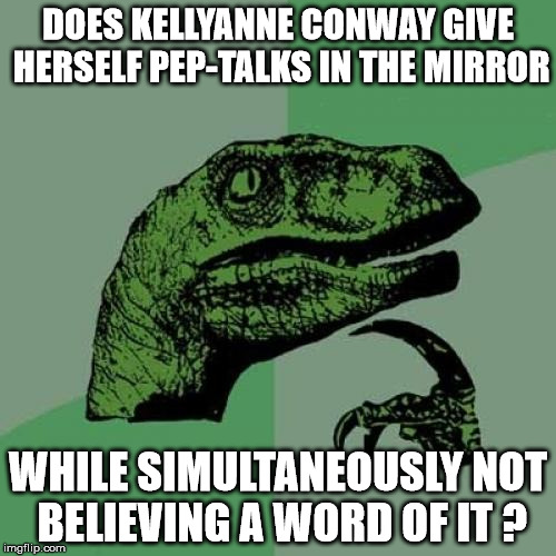 Philosoraptor Meme | DOES KELLYANNE CONWAY GIVE HERSELF PEP-TALKS IN THE MIRROR; WHILE SIMULTANEOUSLY NOT BELIEVING A WORD OF IT ? | image tagged in memes,philosoraptor | made w/ Imgflip meme maker