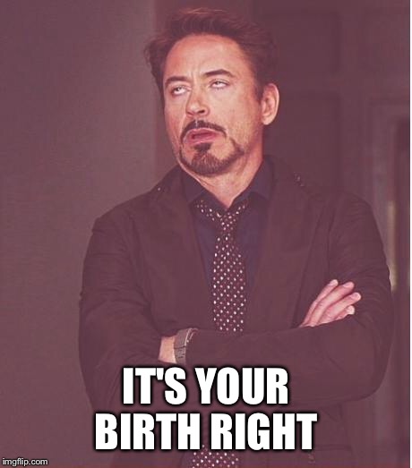 Face You Make Robert Downey Jr Meme | IT'S YOUR BIRTH RIGHT | image tagged in memes,face you make robert downey jr | made w/ Imgflip meme maker