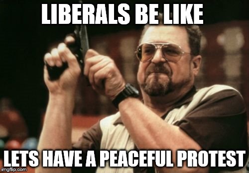 Am I The Only One Around Here | LIBERALS BE LIKE; LETS HAVE A PEACEFUL PROTEST | image tagged in memes,am i the only one around here | made w/ Imgflip meme maker