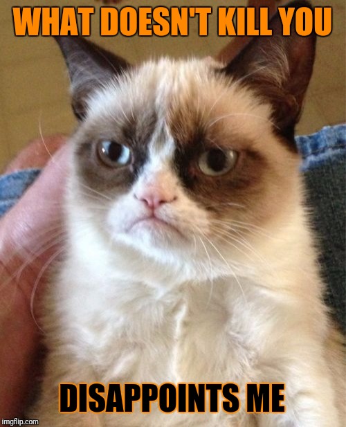 Grumpy Cat | WHAT DOESN'T KILL YOU; DISAPPOINTS ME | image tagged in memes,grumpy cat | made w/ Imgflip meme maker