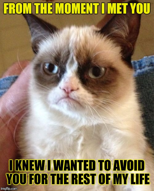 Grumpy Cat | FROM THE MOMENT I MET YOU; I KNEW I WANTED TO AVOID YOU FOR THE REST OF MY LIFE | image tagged in memes,grumpy cat | made w/ Imgflip meme maker