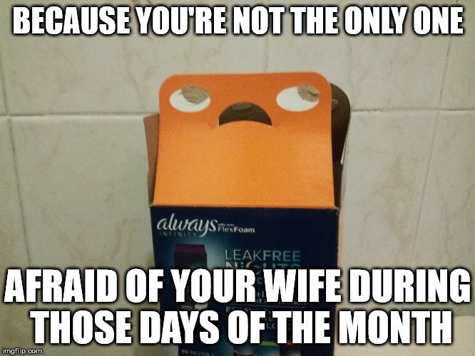 I knew I wasn't alone | BECAUSE YOU'RE NOT THE ONLY ONE; AFRAID OF YOUR WIFE DURING THOSE DAYS OF THE MONTH | image tagged in women,period,afraid,fear,memes,funny memes | made w/ Imgflip meme maker