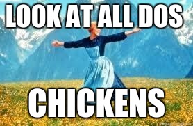 Look At All These | LOOK AT ALL DOS; CHICKENS | image tagged in memes,look at all these | made w/ Imgflip meme maker