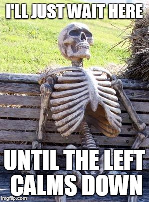 Waiting Skeleton Meme | I'LL JUST WAIT HERE; UNTIL THE LEFT CALMS DOWN | image tagged in memes,waiting skeleton | made w/ Imgflip meme maker