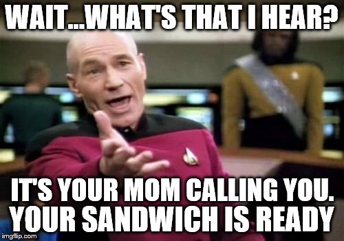 Picard Wtf Meme | WAIT...WHAT'S THAT I HEAR? IT'S YOUR MOM CALLING YOU. YOUR SANDWICH IS READY | image tagged in memes,picard wtf | made w/ Imgflip meme maker