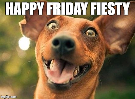 HAPPY FRIDAY FIESTY | made w/ Imgflip meme maker