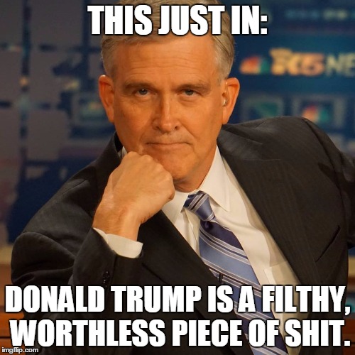 Serious Newsman | THIS JUST IN:; DONALD TRUMP IS A FILTHY, WORTHLESS PIECE OF SHIT. | image tagged in serious newsman | made w/ Imgflip meme maker