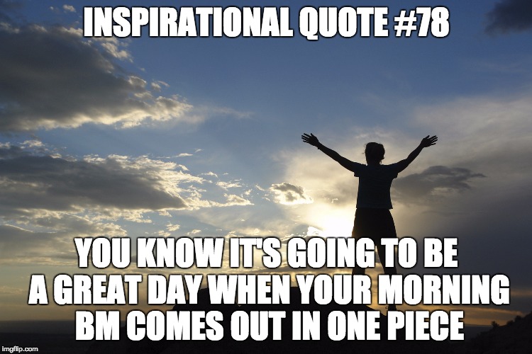 inspirational | INSPIRATIONAL QUOTE #78; YOU KNOW IT'S GOING TO BE A GREAT DAY WHEN YOUR MORNING BM COMES OUT IN ONE PIECE | image tagged in inspirational | made w/ Imgflip meme maker