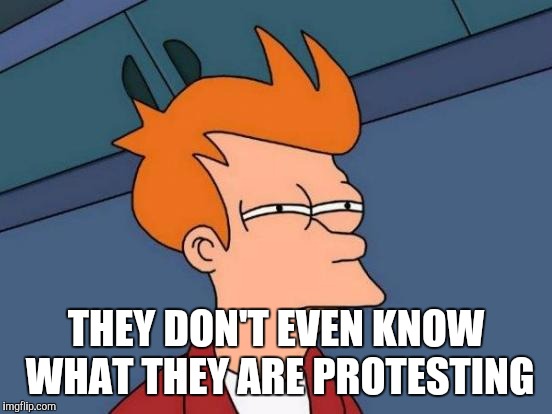 Futurama Fry Meme | THEY DON'T EVEN KNOW WHAT THEY ARE PROTESTING | image tagged in memes,futurama fry | made w/ Imgflip meme maker