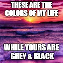 THESE ARE THE COLORS OF MY LIFE; WHILE YOURS ARE GREY & BLACK | image tagged in colors | made w/ Imgflip meme maker