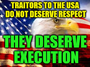 American Flag | TRAITORS TO THE USA DO NOT DESERVE RESPECT; THEY DESERVE EXECUTION | image tagged in american flag | made w/ Imgflip meme maker