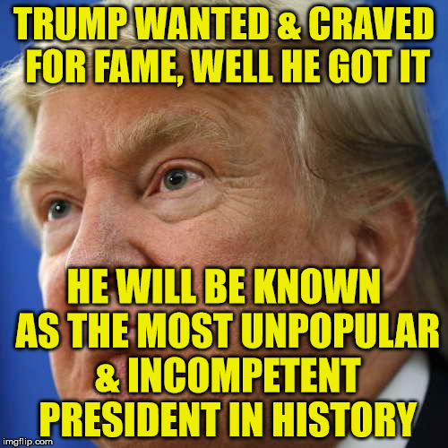 IMPOTUS | TRUMP WANTED & CRAVED FOR FAME, WELL HE GOT IT; HE WILL BE KNOWN AS THE MOST UNPOPULAR & INCOMPETENT PRESIDENT IN HISTORY | image tagged in impotus | made w/ Imgflip meme maker