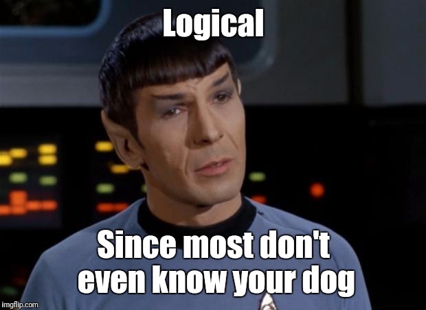 Spock | Logical Since most don't even know your dog | image tagged in spock | made w/ Imgflip meme maker