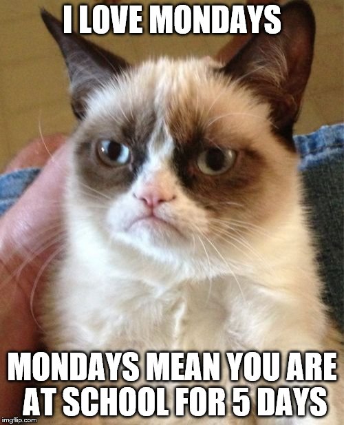 Grumpy Cat Meme | I LOVE MONDAYS; MONDAYS MEAN YOU ARE AT SCHOOL FOR 5 DAYS | image tagged in memes,grumpy cat | made w/ Imgflip meme maker