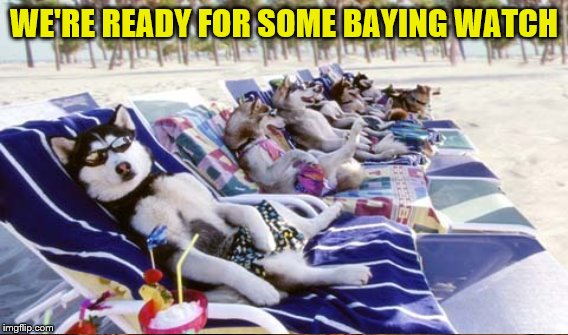 WE'RE READY FOR SOME BAYING WATCH | made w/ Imgflip meme maker