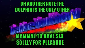 ON ANOTHER NOTE THE DOLPHIN IS THE ONLY OTHER MAMMAL TO HAVE SEX SOLELY FOR PLEASURE | made w/ Imgflip meme maker