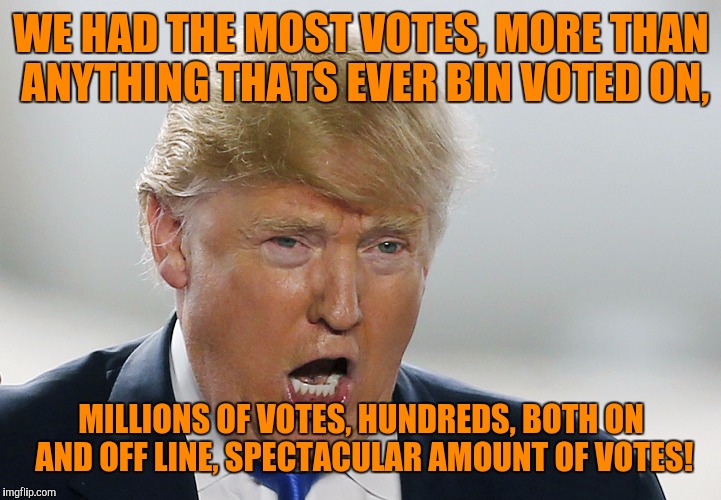 WE HAD THE MOST VOTES, MORE THAN ANYTHING THATS EVER BIN VOTED ON, MILLIONS OF VOTES, HUNDREDS, BOTH ON AND OFF LINE, SPECTACULAR AMOUNT OF  | made w/ Imgflip meme maker
