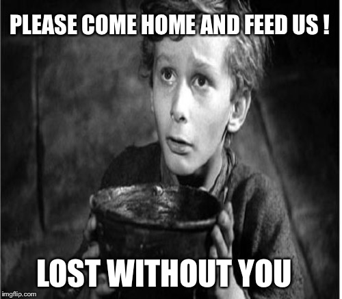 PLEASE COME HOME AND FEED US ! LOST WITHOUT YOU | made w/ Imgflip meme maker
