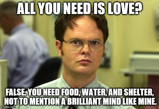 Dwight Schrute Meme | ALL YOU NEED IS LOVE? FALSE. YOU NEED FOOD, WATER, AND SHELTER, NOT TO MENTION A BRILLIANT MIND LIKE MINE. | image tagged in memes,dwight schrute | made w/ Imgflip meme maker