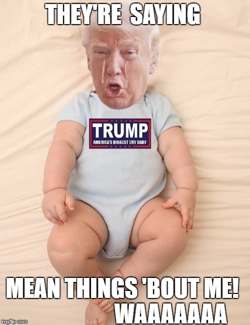 Crying Trump Baby | THEY'RE  SAYING; MEAN THINGS 'BOUT ME!
   

















WAAAAAAA | image tagged in crying trump baby | made w/ Imgflip meme maker