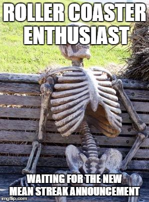 Waiting Skeleton Meme | ROLLER COASTER ENTHUSIAST; WAITING FOR THE NEW MEAN STREAK ANNOUNCEMENT | image tagged in memes,waiting skeleton | made w/ Imgflip meme maker