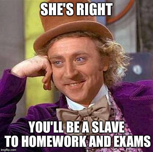 Creepy Condescending Wonka Meme | SHE'S RIGHT YOU'LL BE A SLAVE TO HOMEWORK AND EXAMS | image tagged in memes,creepy condescending wonka | made w/ Imgflip meme maker